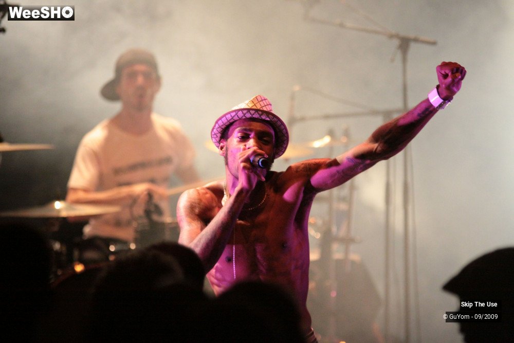 42/50 photos du spectacle Skip The Use