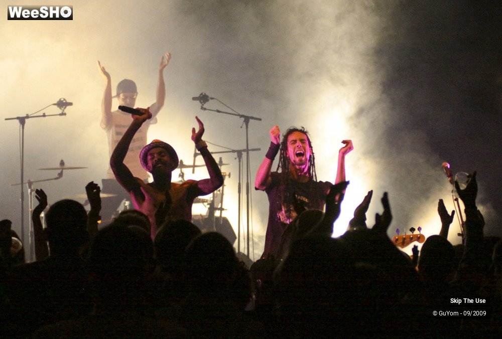 45/50 photos du spectacle Skip The Use