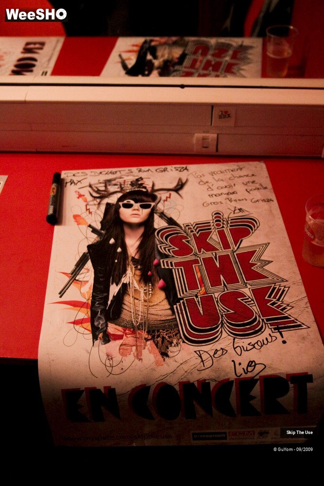 2/36 photos du spectacle Skip The Use Backstage