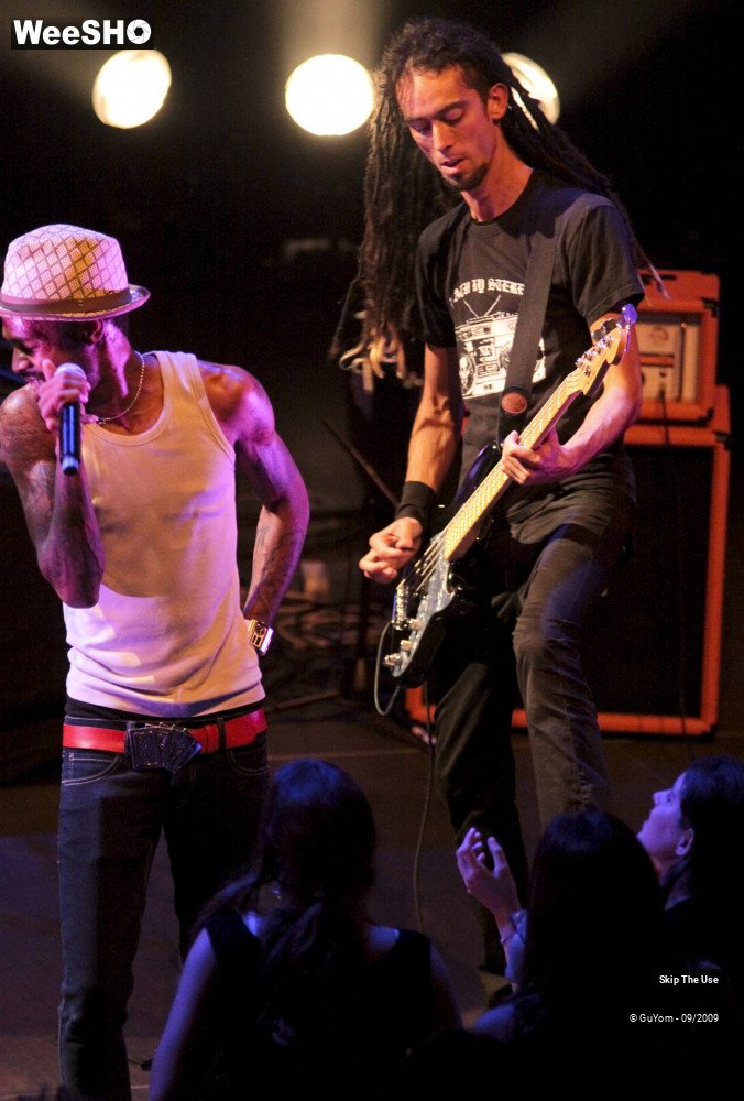 3/47 photos du spectacle Skip The Use vu d'en haut