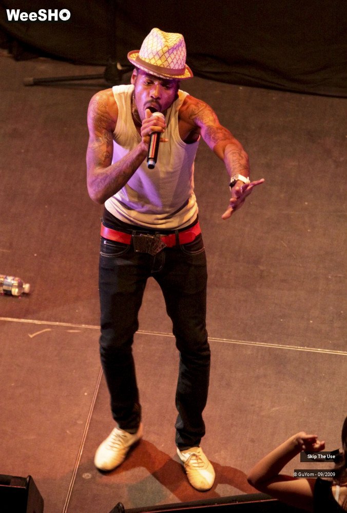 6/47 photos du spectacle Skip The Use vu d'en haut