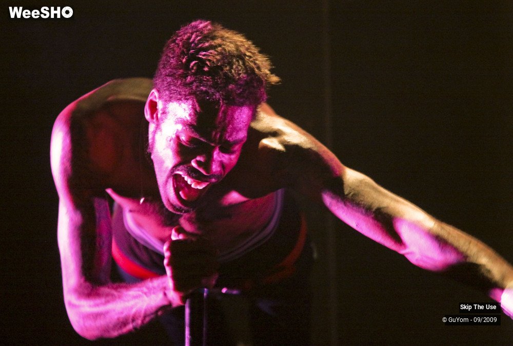 14/47 photos du spectacle Skip The Use vu d'en haut