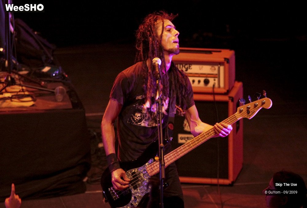 16/47 photos du spectacle Skip The Use vu d'en haut