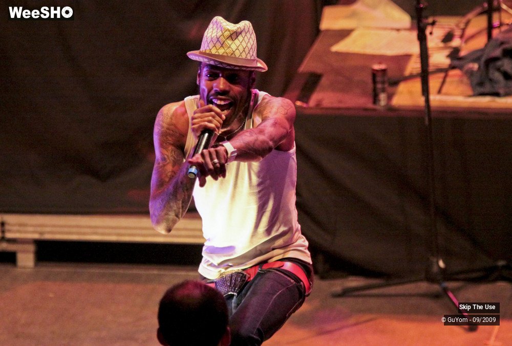 20/47 photos du spectacle Skip The Use vu d'en haut