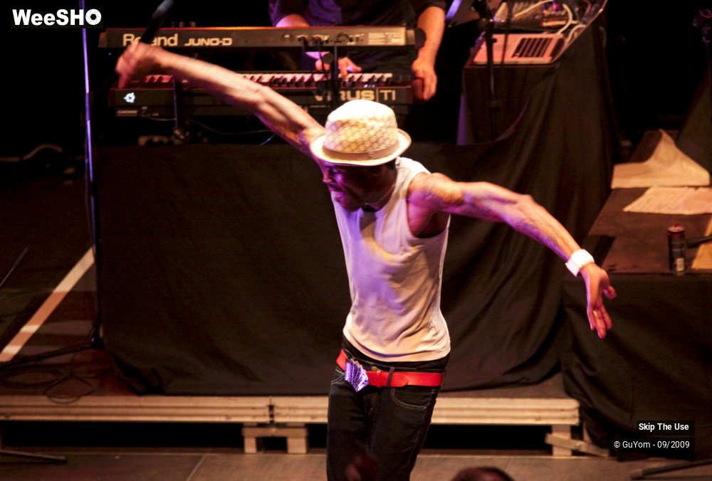 21/47 photos du spectacle Skip The Use vu d'en haut