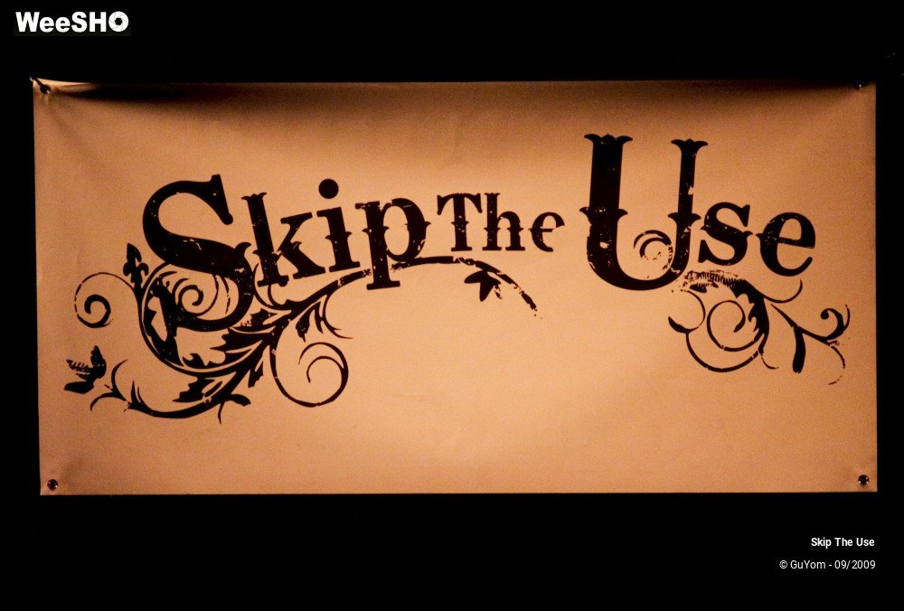 29/47 photos du spectacle Skip The Use vu d'en haut