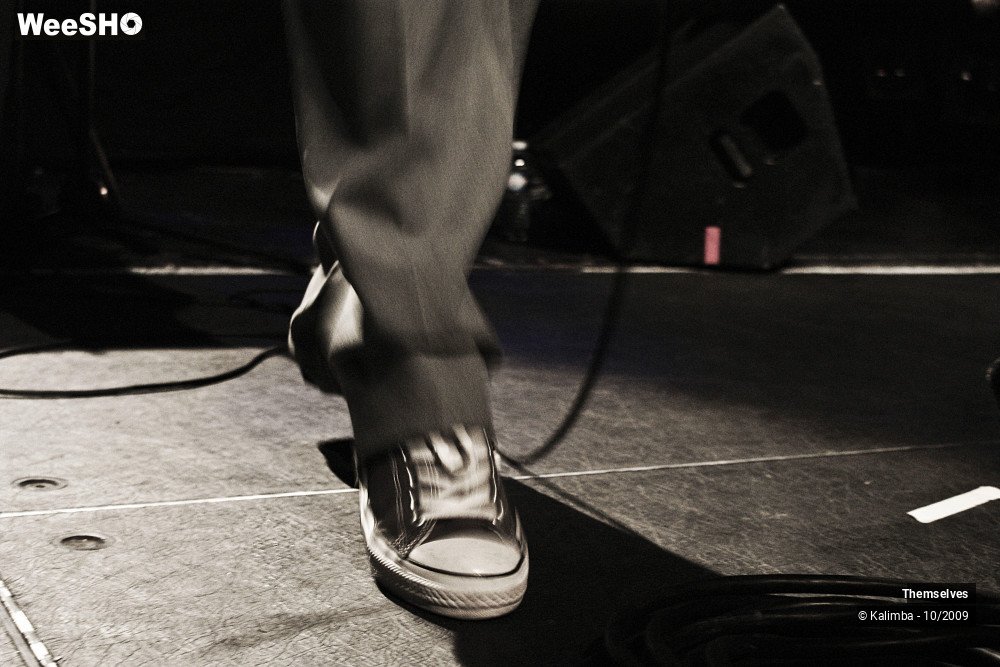 11/33 photos du spectacle Themselves