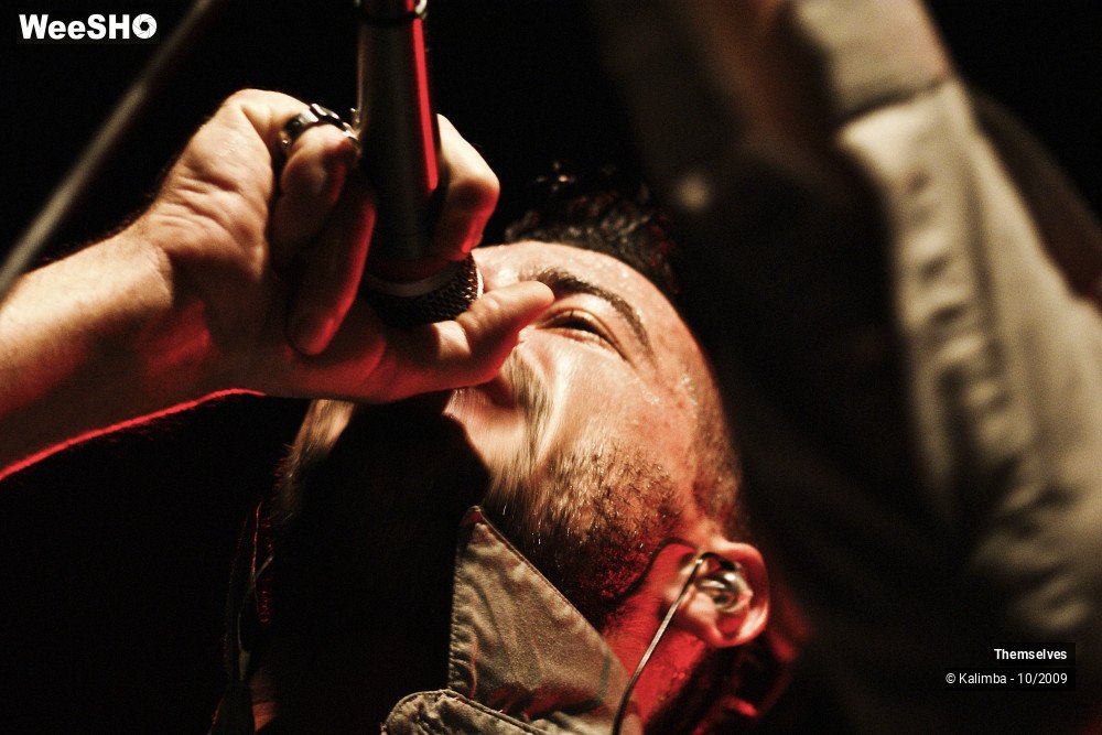 16/33 photos du spectacle Themselves