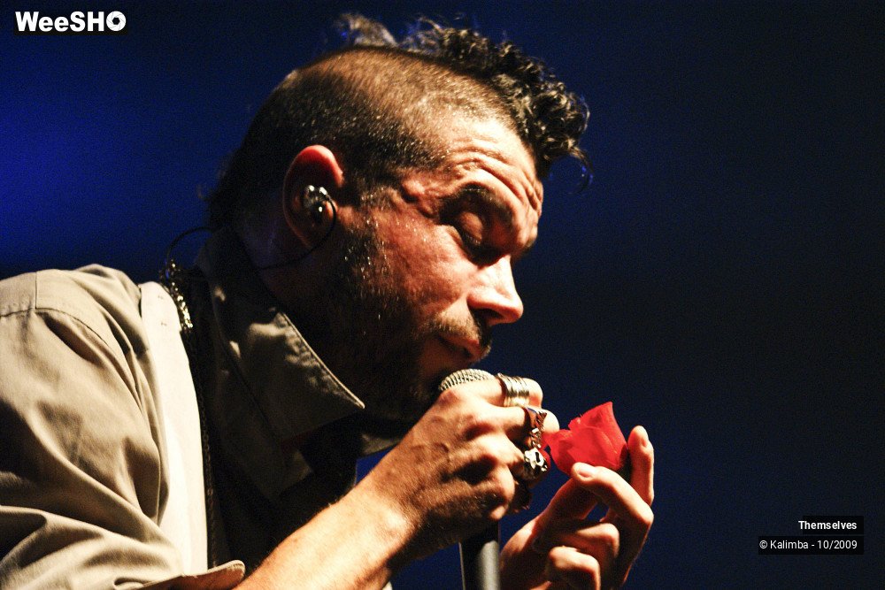 23/33 photos du spectacle Themselves