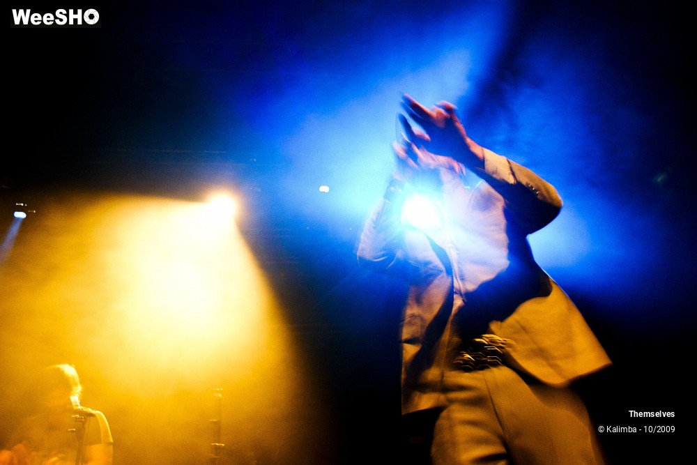 25/33 photos du spectacle Themselves