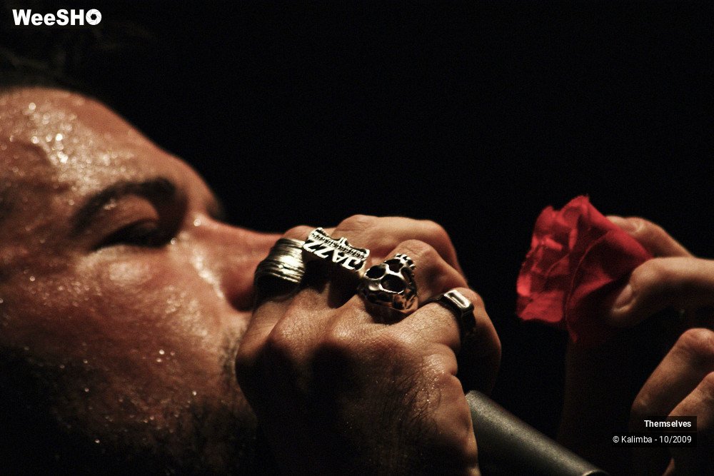 29/33 photos du spectacle Themselves