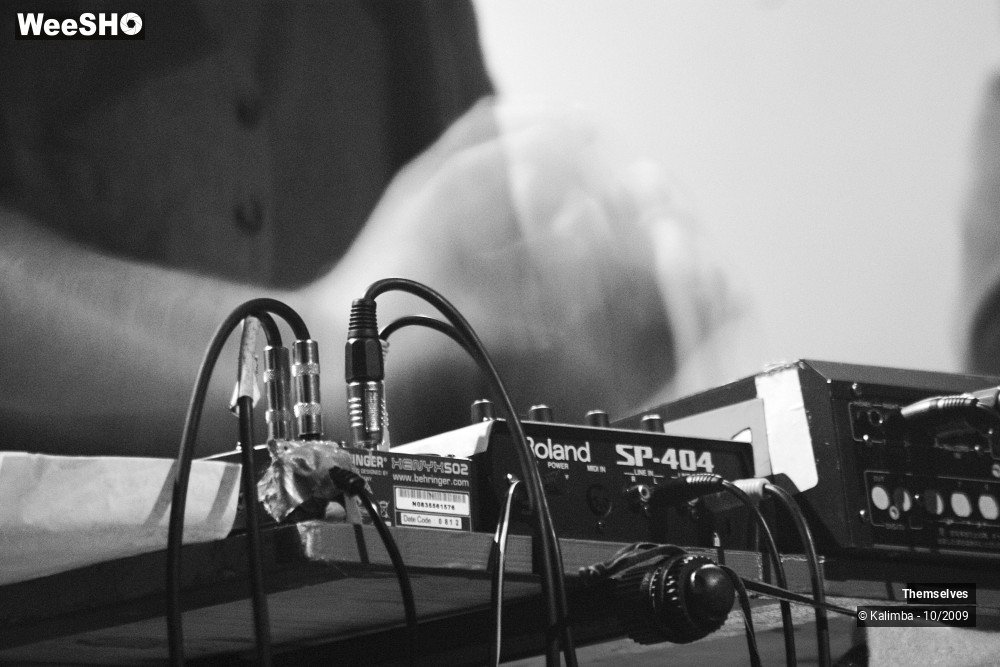 30/33 photos du spectacle Themselves