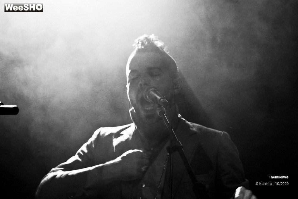 31/33 photos du spectacle Themselves