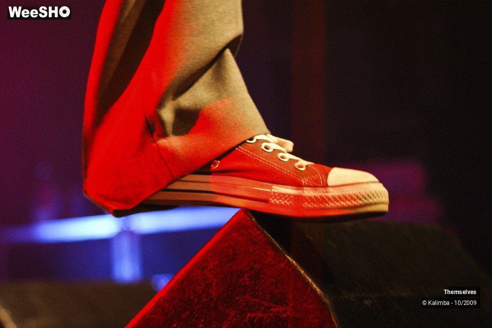 32/33 photos du spectacle Themselves