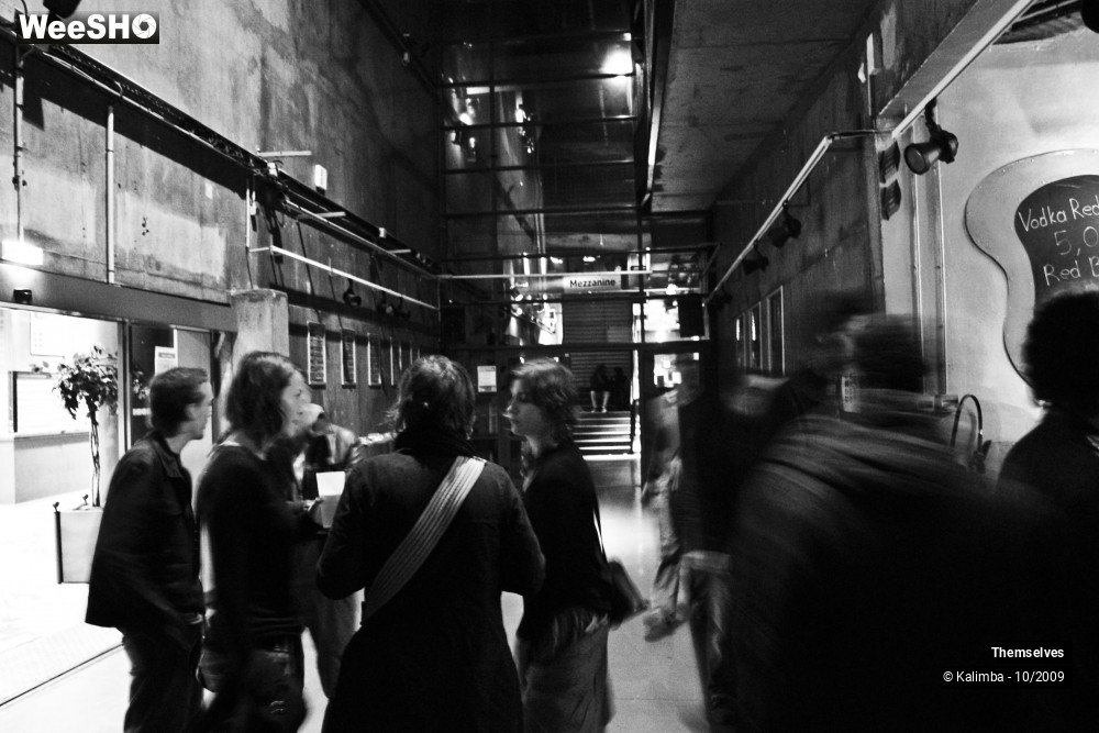 33/33 photos du spectacle Themselves