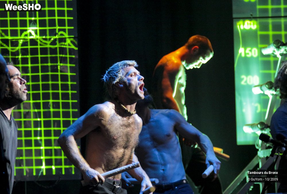 16/50 photos du spectacle Tambours du Bronx