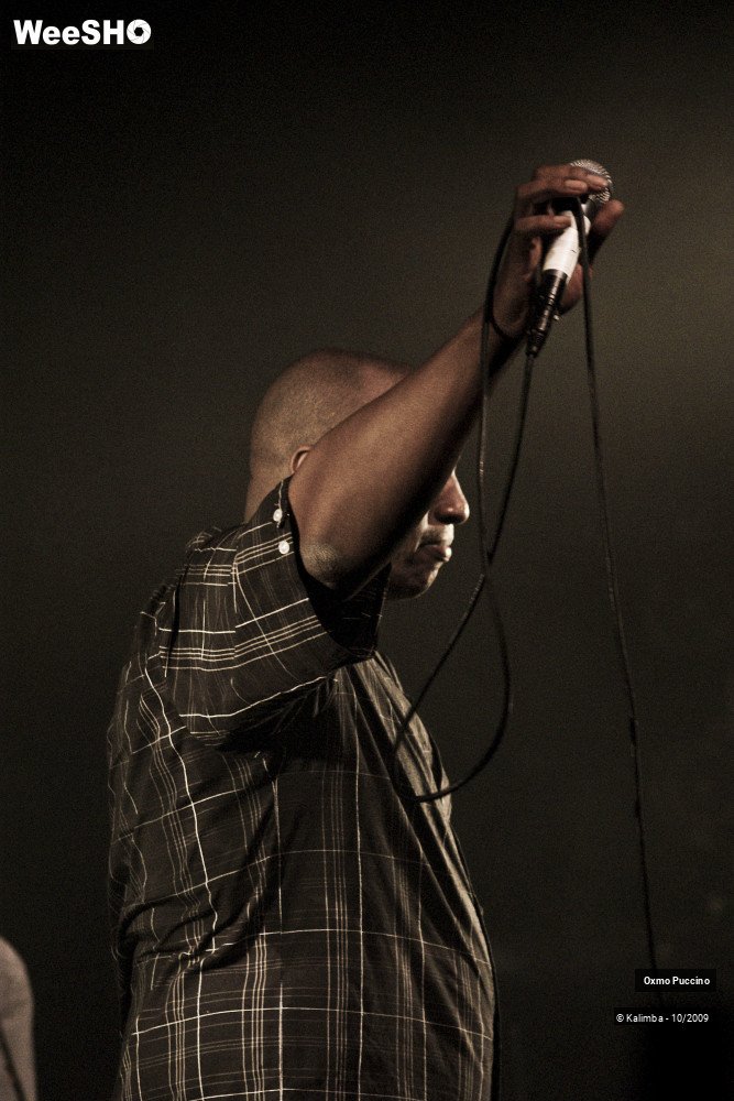 4/50 photos du spectacle Oxmo Puccino