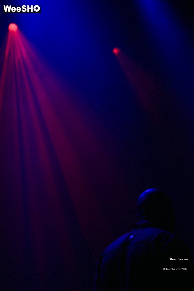 10/50 photos du spectacle Oxmo Puccino