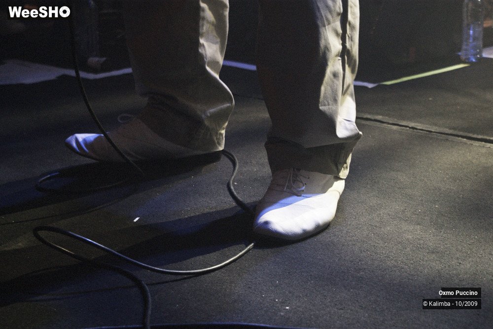 49/50 photos du spectacle Oxmo Puccino