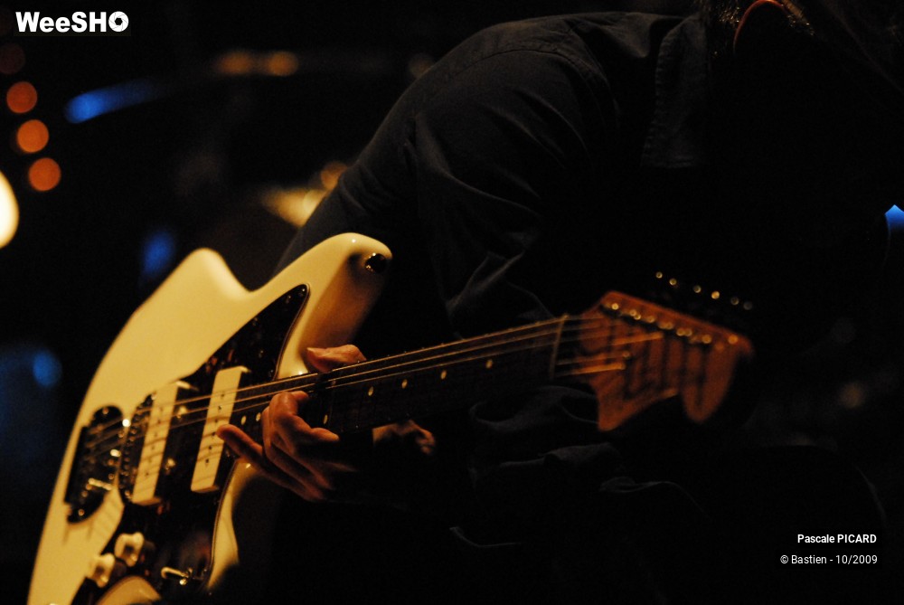 32/34 photos du spectacle Pascale Picard Band