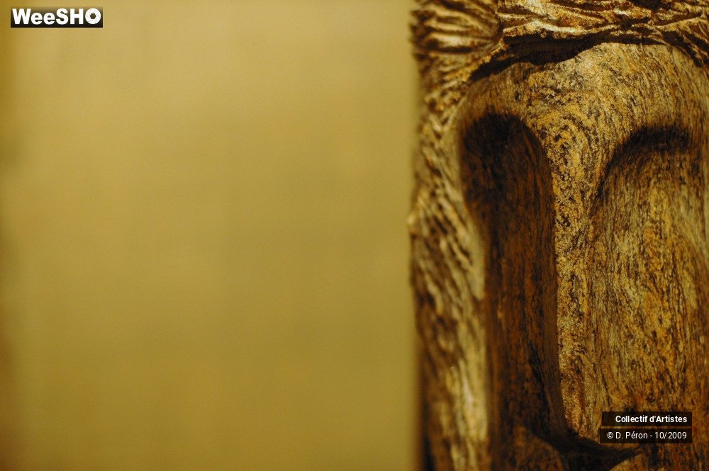 28/47 photos du spectacle A Fleur de Peau