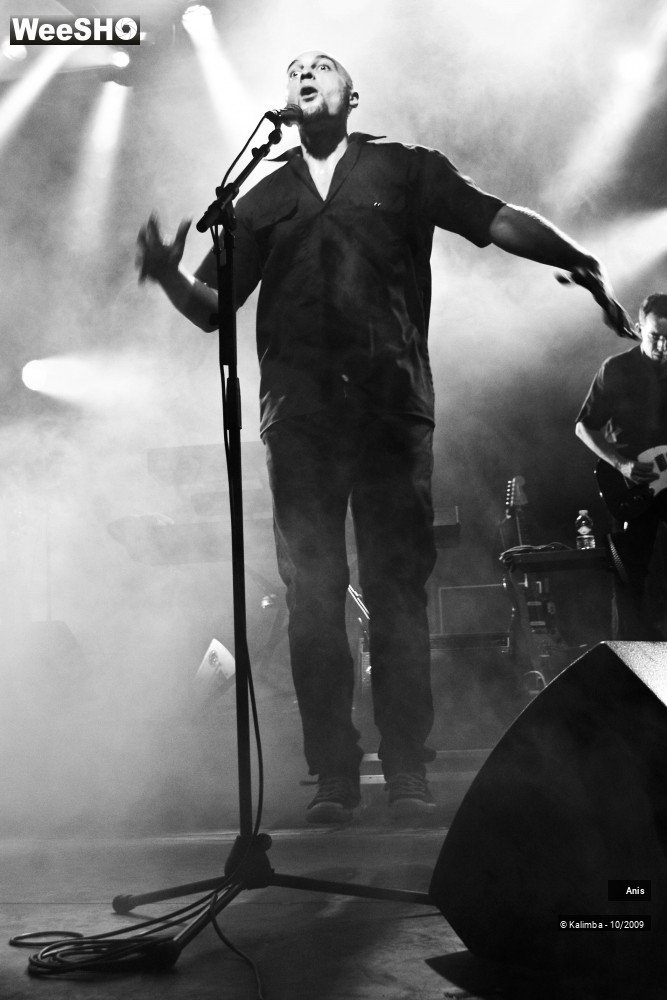 8/51 photos du spectacle Anis