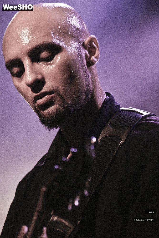 15/51 photos du spectacle Anis