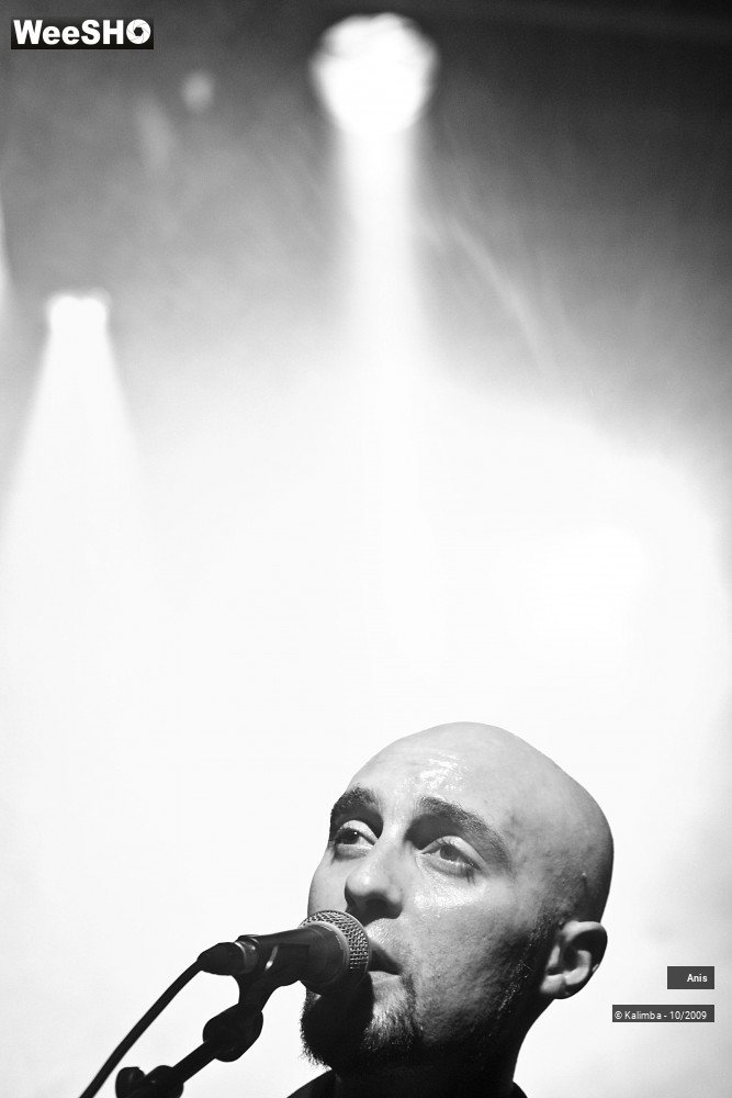 16/51 photos du spectacle Anis