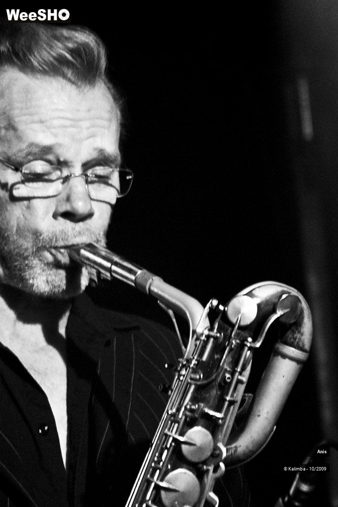 18/51 photos du spectacle Anis