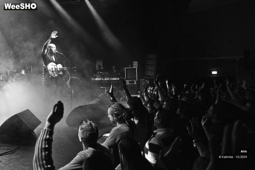 19/51 photos du spectacle Anis