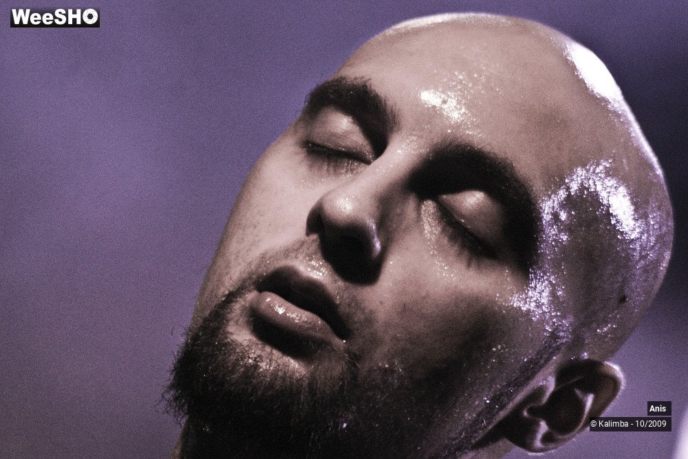 21/51 photos du spectacle Anis