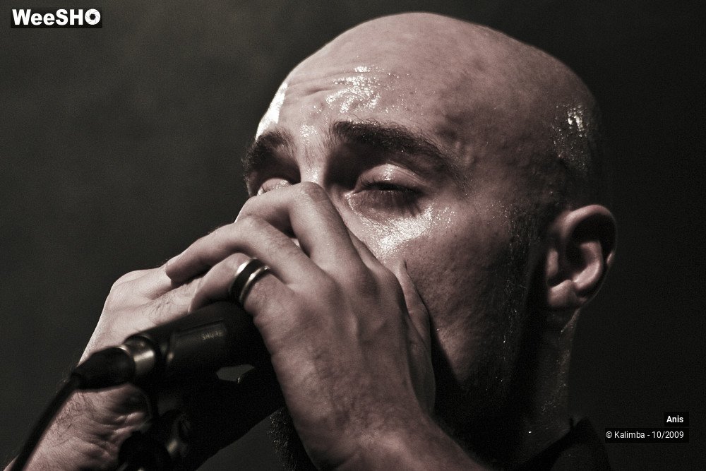 22/51 photos du spectacle Anis