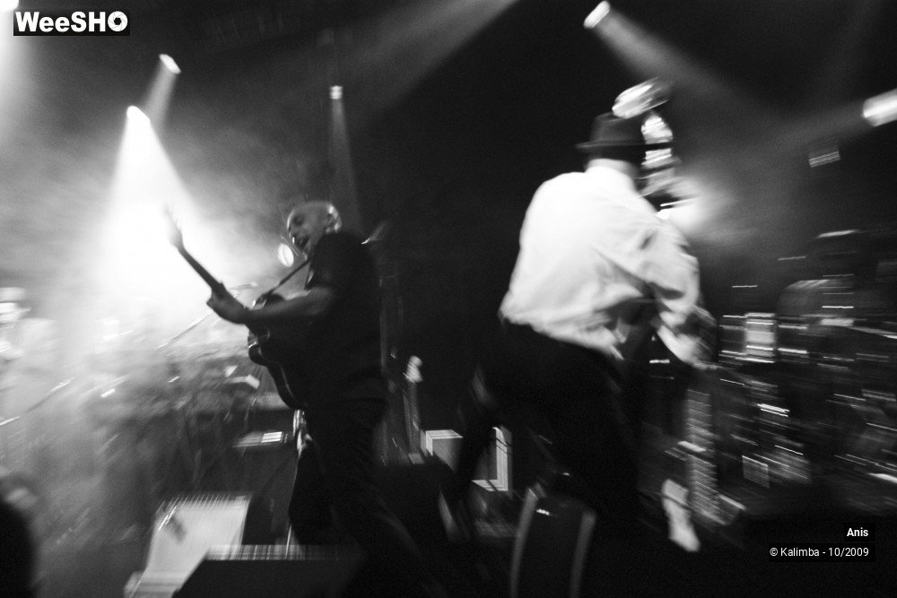 23/51 photos du spectacle Anis