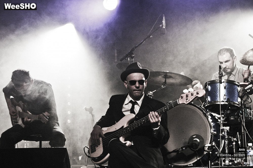 24/51 photos du spectacle Anis