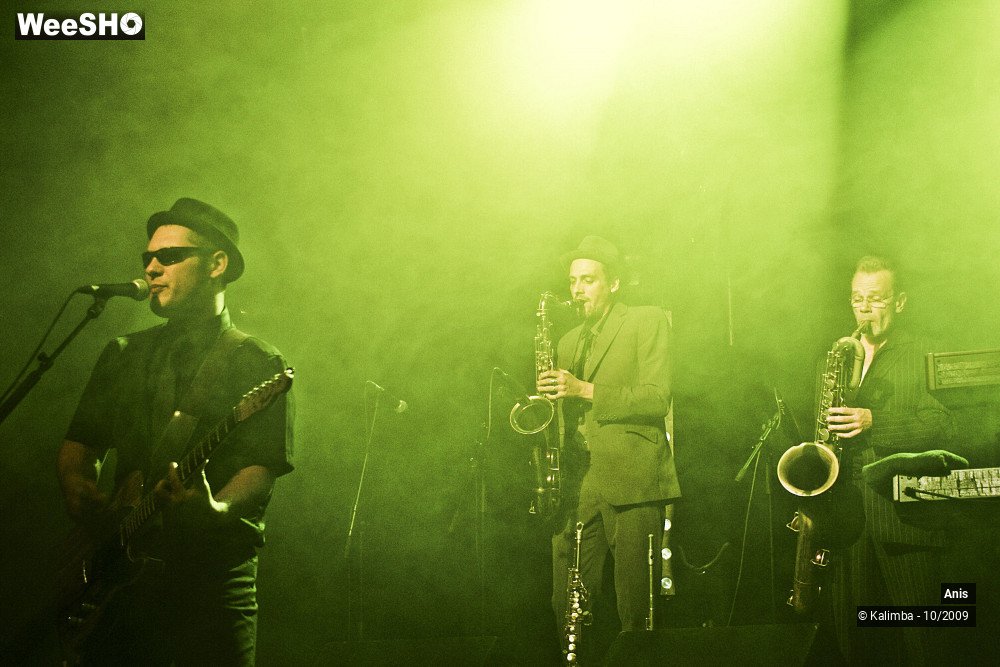 28/51 photos du spectacle Anis