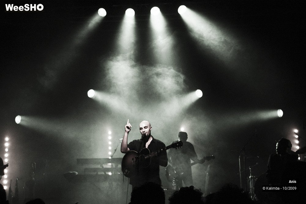 29/51 photos du spectacle Anis