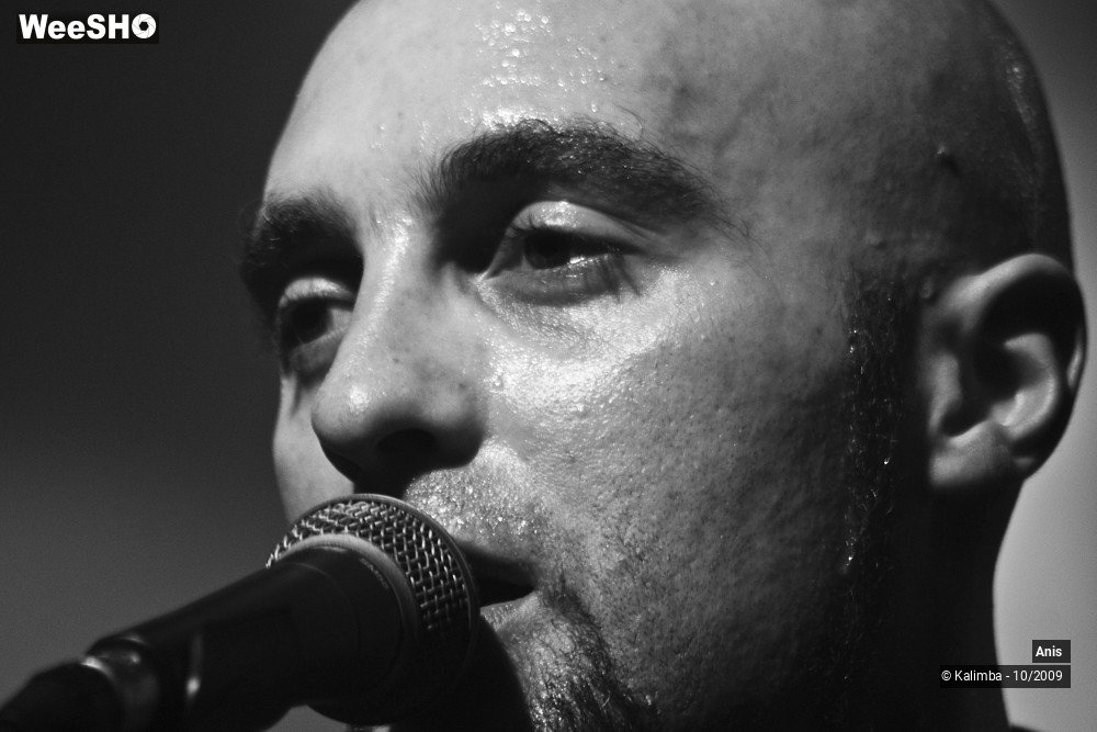 30/51 photos du spectacle Anis