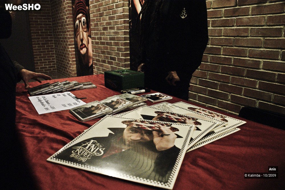 31/51 photos du spectacle Anis