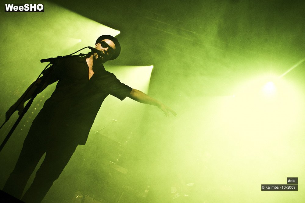 33/51 photos du spectacle Anis