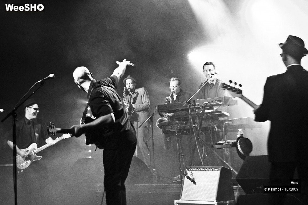 35/51 photos du spectacle Anis