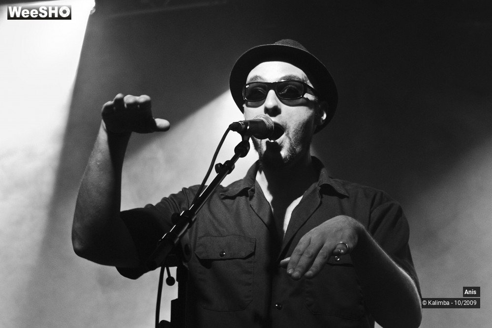 36/51 photos du spectacle Anis