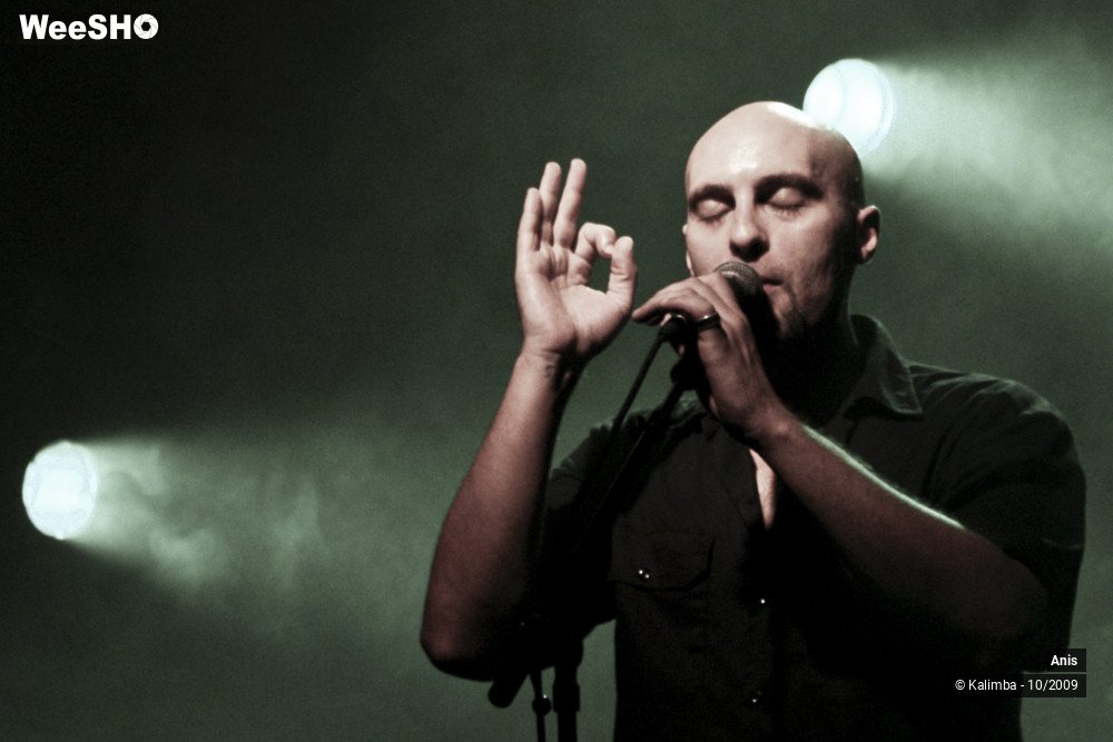 37/51 photos du spectacle Anis