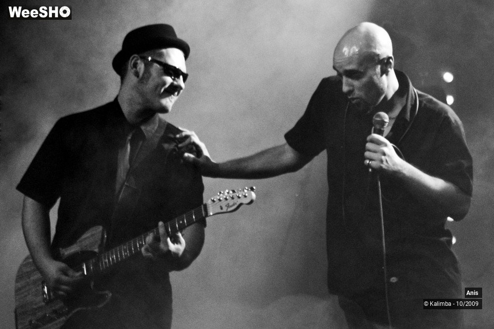 38/51 photos du spectacle Anis