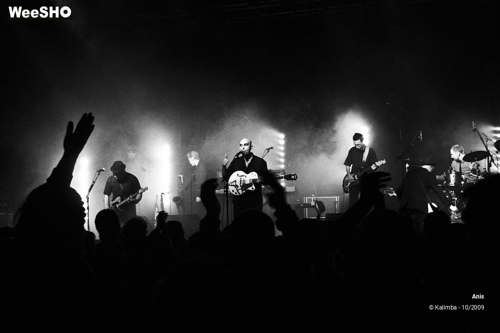 39/51 photos du spectacle Anis