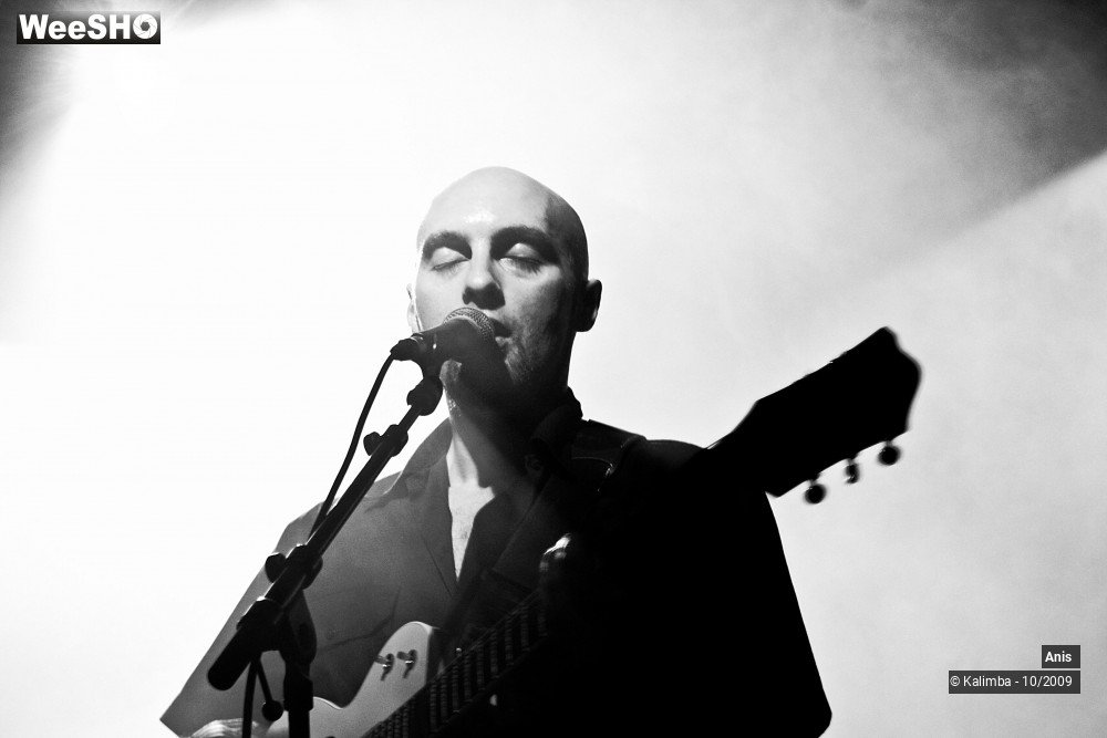 40/51 photos du spectacle Anis