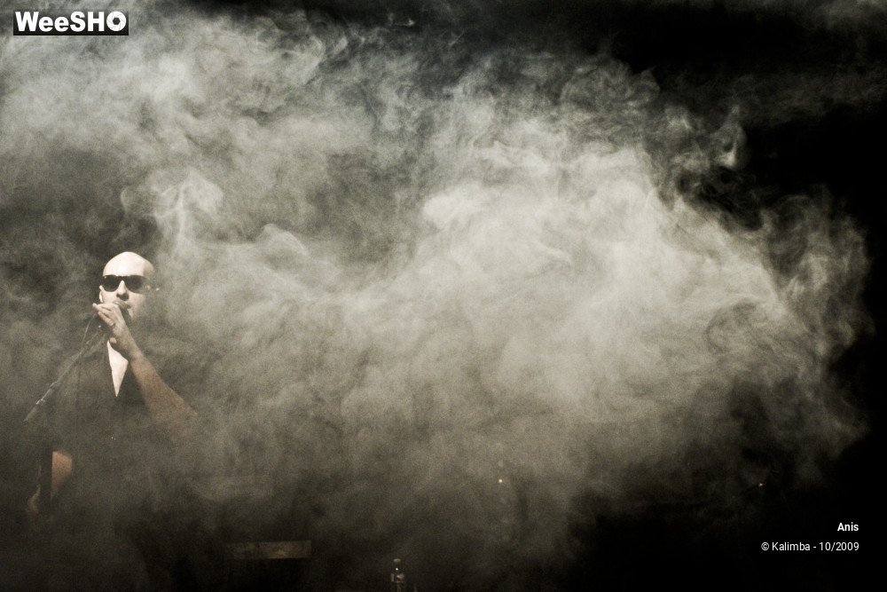 42/51 photos du spectacle Anis