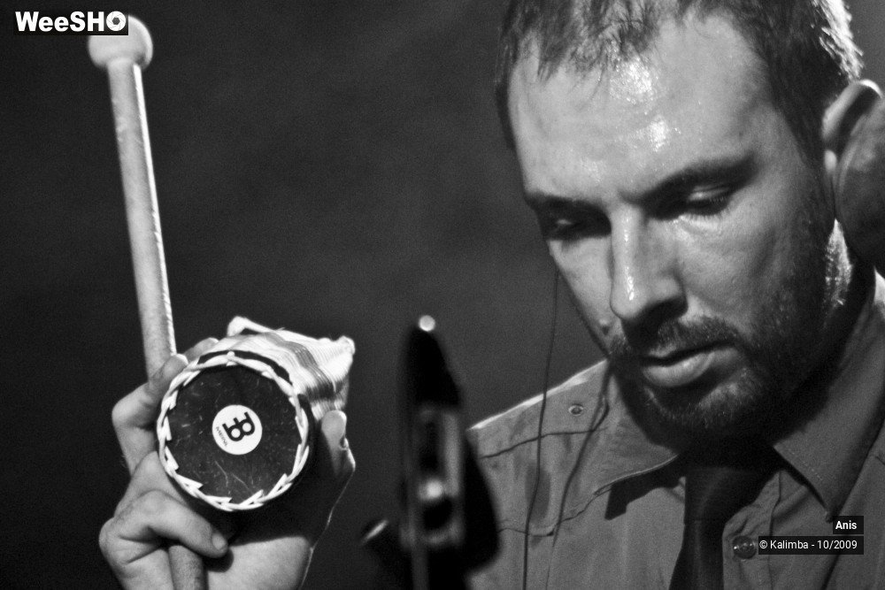 43/51 photos du spectacle Anis