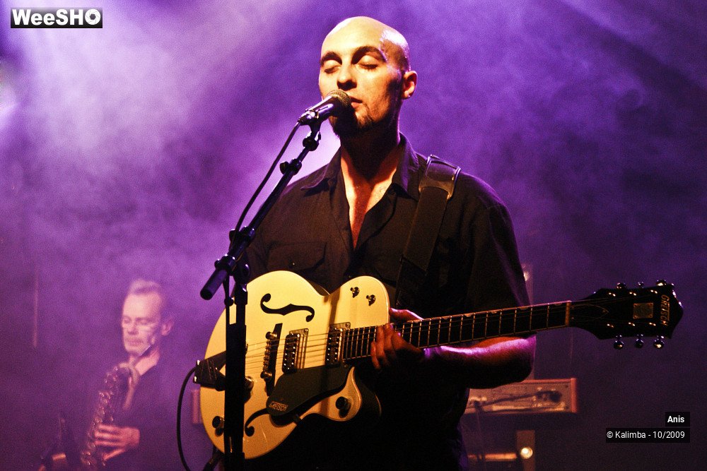 46/51 photos du spectacle Anis