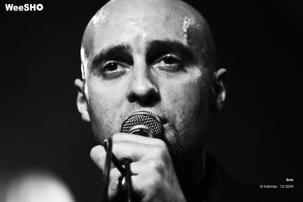 50/51 photos du spectacle Anis