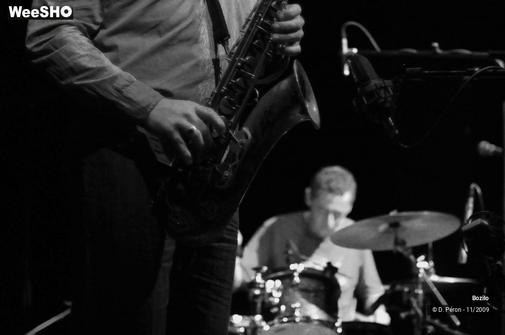 16/24 photos du spectacle Bozilo